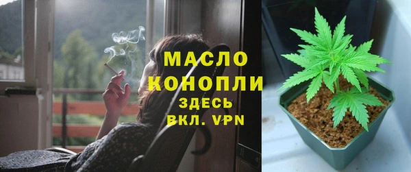 стаф Няндома