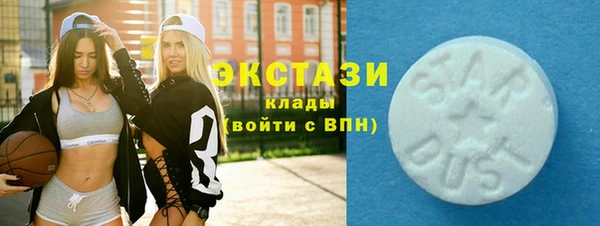 шишки Новодвинск