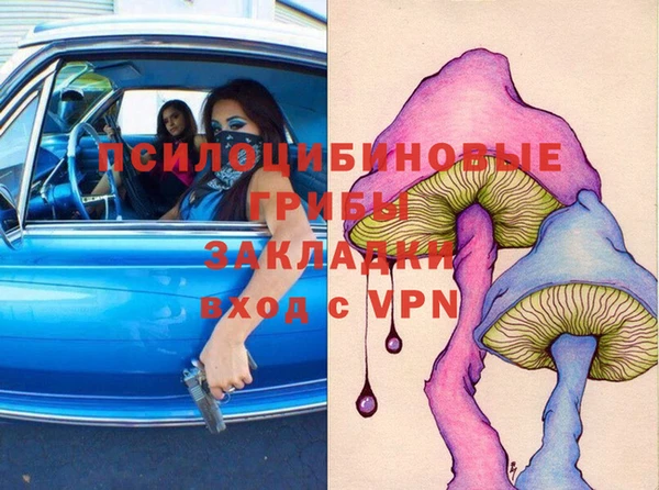 стаф Няндома