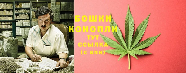 стаф Няндома