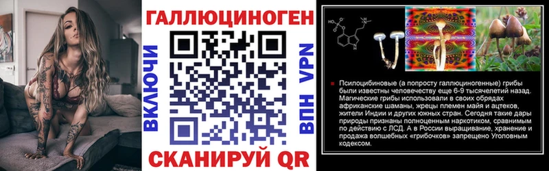 Галлюциногенные грибы Psilocybe  Обнинск 