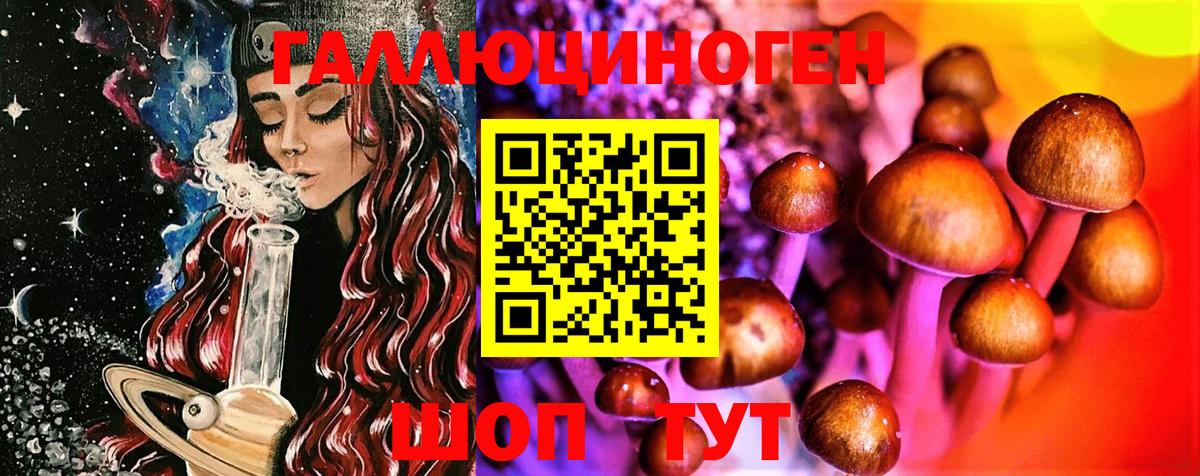 сколько стоит  Вход с VPN  Обнинск  Галлюциногенные грибы ЛСД  Галлюциногенные грибы Psilocybe 